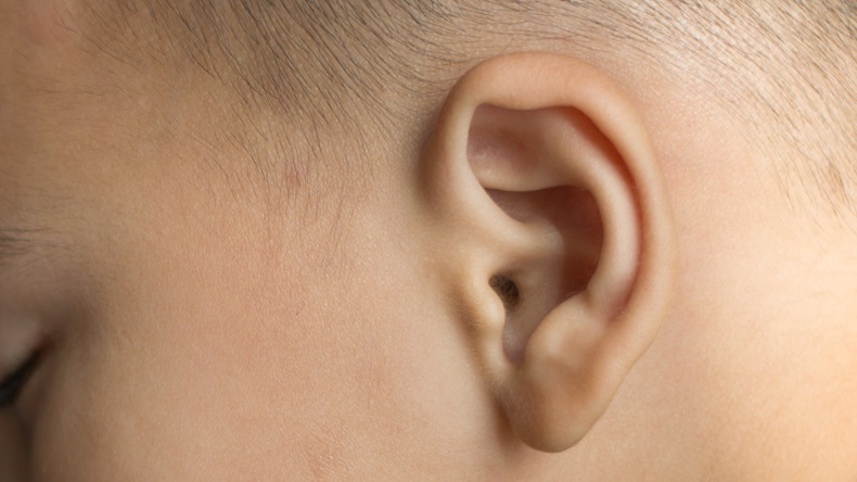 Ear of child 