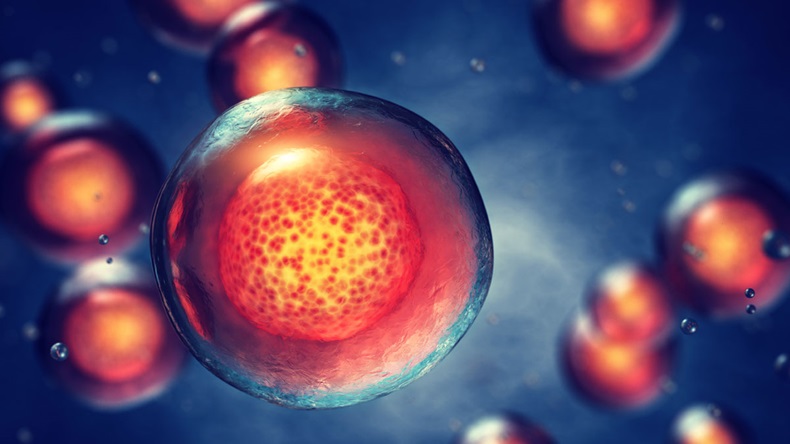 Embryonic stem cells , Cellular therapy , Regeneration , Disease treatment , 3d illustration - Illustration 