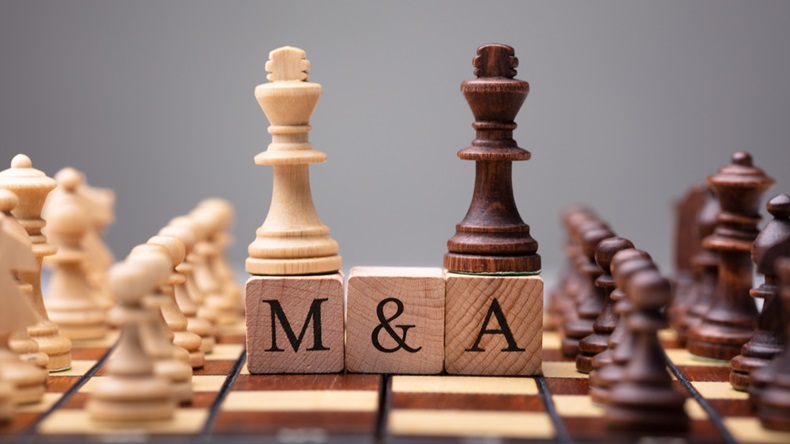 Close-up Of King Chess Pieces On Wooden Blocks With Mergers And Acquisitions