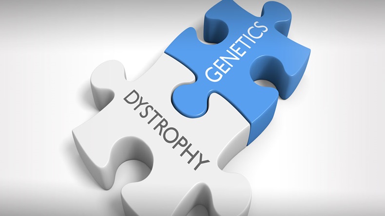 Link between genetics and various dystrophy disorders