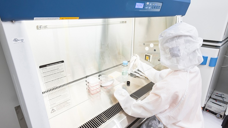 A scientist in sterile coverall gown pipetting medium or reagents for cell culture experiment in biological safety cabinet.