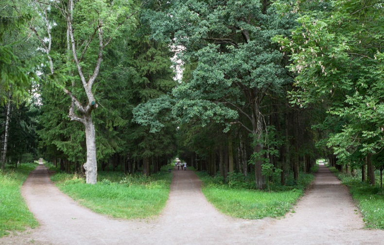 Three forest roads converge into one or diverge point of three ways.