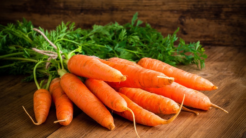 bundle of carrots 