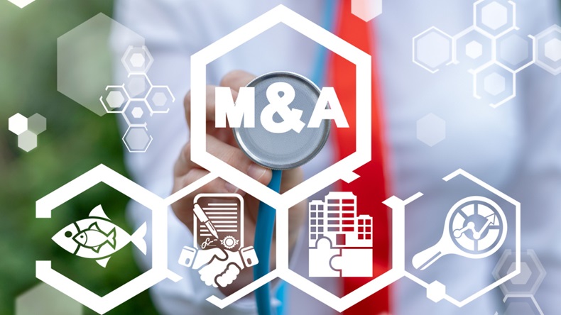 M&A review