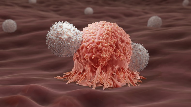CAR T cell and cancer