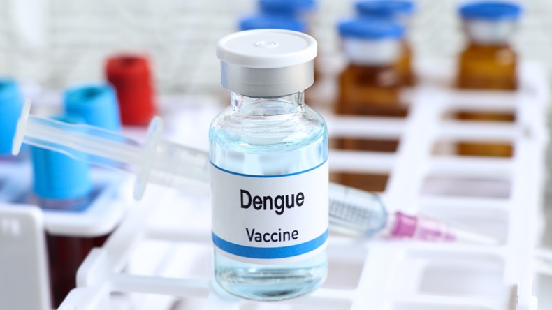 dengue vaccine
