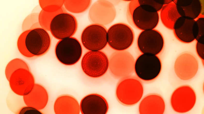 Color of cells,Particles in liquid