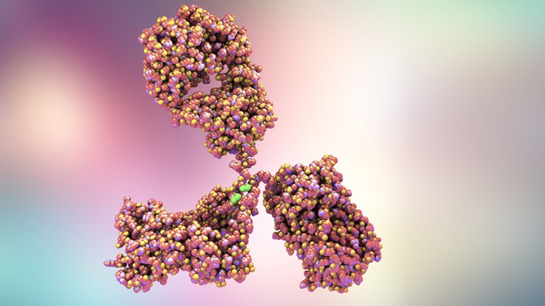 Molecular model of antibody taking part in immune defence. Molecule of immunoglobulin, 3D illustration