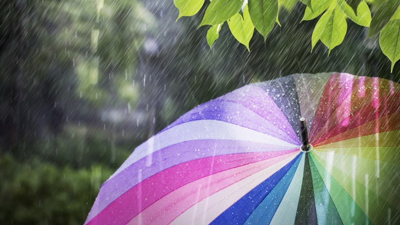 Shutterstock - 661293361  Rain falling and colorful umbrella in rainy day