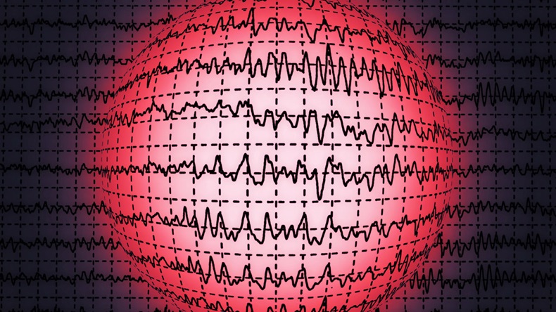 concept graph brain wave EEG