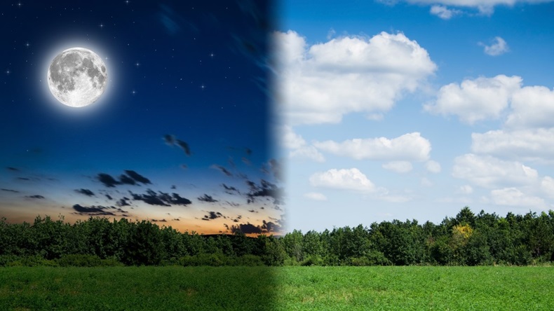 night and day (shutterstock)